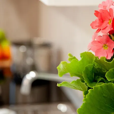 Nicoletta Rivieraholiday Apartment