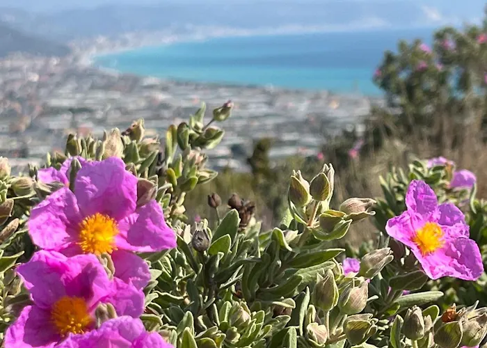 Nicoletta Rivieraholiday * Albenga